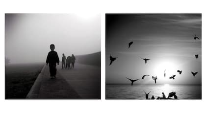 Díptico de la serie "Desaparecidos", de Silvana Colombo, con imágenes del Parque de la Memoria