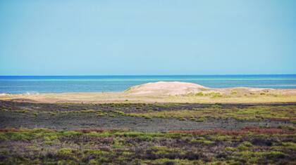 El océano Atlántico y una laguna costera se encuentran en la reserva Dragones de Malvinas, formando la única albufera del país
