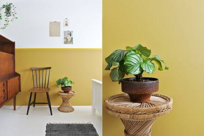 El ocre dorado tiene toda la fuerza del amarillo pero no satura