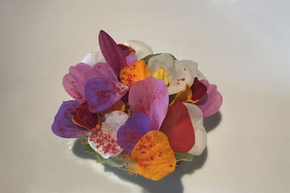 El octavo paso con la ensalada caesar en flor