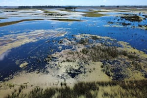 Descartan la llegada de un súper El Niño y proyectan menos heladas para el otoño