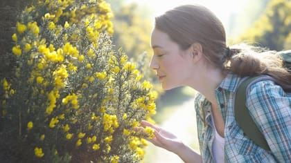 El olfato es uno de los sentidos más poderosos