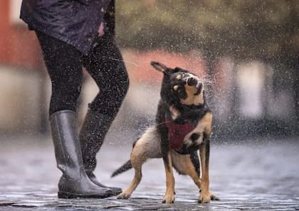 El olor único de la lluvia hace que pueda ser un poderoso desencadenante de la nostalgia