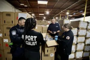 Los envíos millonarios no autorizados que la CBP confiscó en barcos chinos