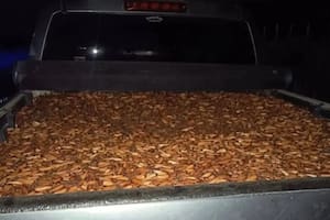 Decomisaron tres toneladas de piñones en una ruta neuquina