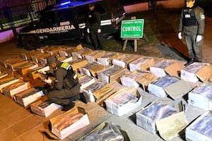 Detectan un camión que transportaba una millonaria carga de pescado sin las condiciones sanitarias necesarias