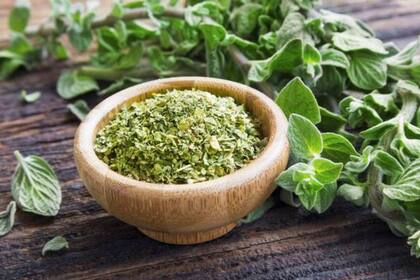 El orégano posee poderosos beneficios para la salud