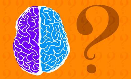 El órgano de la consciencia, según los expertos, es el cerebro humano