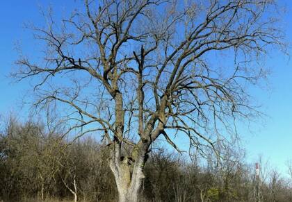 El origen de esta montaña era una fortaleza militar.