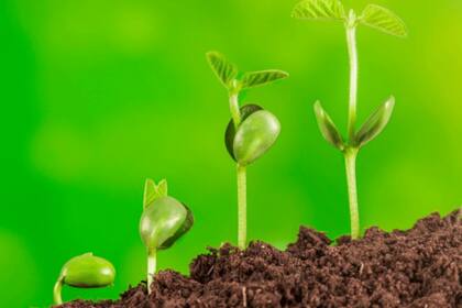 El origen de la vida en la Tierra es una de las grandes preguntas de la ciencia