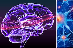 El hábito que más protege al cerebro: la fórmula secreta que recomienda neurólogo para evitar que la memoria falle