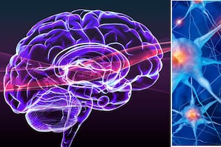 El hábito que más protege al cerebro: la fórmula secreta que recomienda neurólogo para evitar que la memoria falle