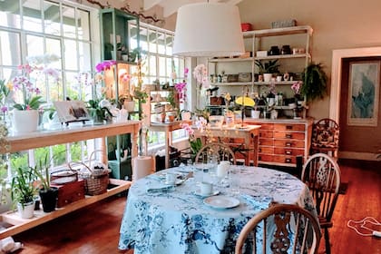 El orquidiario de la madre de Ana, interpretado por Claudia Lapacó es un espacio que habla de una mujer de 80 años con un espíritu joven, que vuelve a enamorarse y a vivir con pasión.