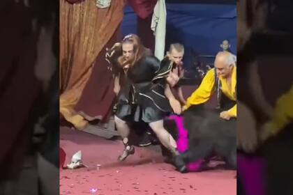 El oso atacó varias veces a sus entrenadores