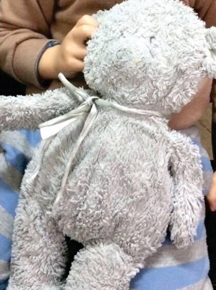 El oso Tedy que hace una semana es buscado.