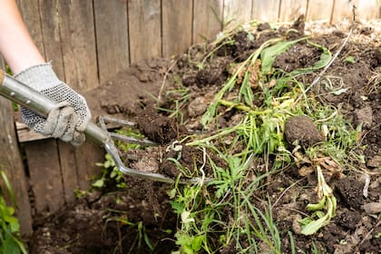 El otoño es la estación para enriquecer el suelo, se debe incorporar compost o humus de lombriz al sustrato