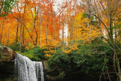 El otoño es una de las estaciones favoritas de muchos debido al cambio de colores en la naturaleza