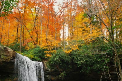 El otoño es una de las estaciones favoritas de muchos debido al cambio de colores en la naturaleza
