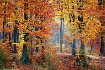 El otoño llega a California el 22 de septiembre de 2025