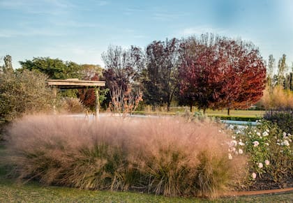 El otoño no apaga el jardín, lo vuelve más íntimo. La clave está en leer la luz baja y diseñar con textura