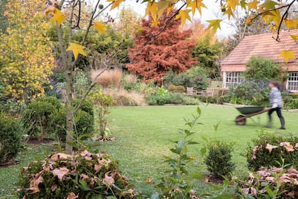 El otoño plantea una serie de desafíos a los jardines que pueden sortearse con algunos consejos