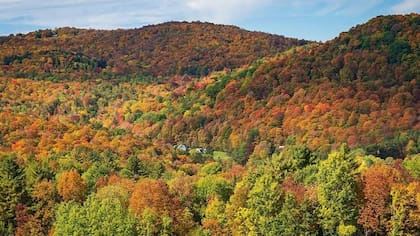El otoño se caracteriza por el descenso de temperatura y la caída de las hojas de los árboles
