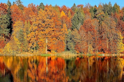 El otoño se destaca por el descenso de la temperatura, noches más largas y la caída de las hojas de los árboles