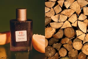 Nace de una infección y es el oro líquido de los perfumes: así es el oud, la madera adictiva que “huele a establo”