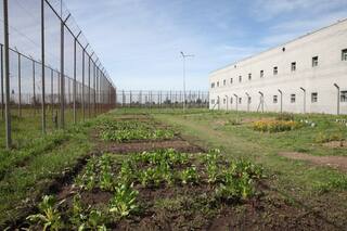 Investigan la muerte de un preso alojado en la cárcel de Ezeiza