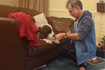 El padre de Spike lo alimenta y le da agua en el sillón para asegurarse de que el animal tome sus medicinas y se mantenga fuerte.