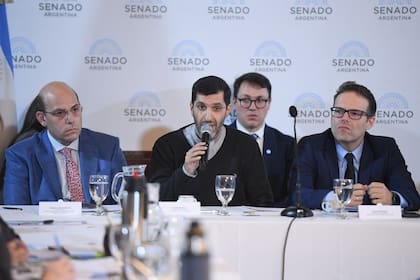 El padre Munir Bracco, de la Comisión Episcopal de Pastoral Social, expone en el Senado , en una audiencia sobre el proyecto que regula las apuestas en línea