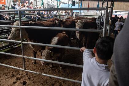 El país enfrenta el desafío de luchar contra viejos paradigmas que distorsionan la realidad del campo