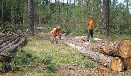 Según datos de la Secretaría de Trabajo, en el 2022 (última información disponible) en el país estaban instaladas 988 empresas dedicadas a esta actividad