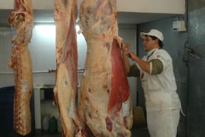 Faltan dólares, baja la carne, pero no se liberan las exportaciones