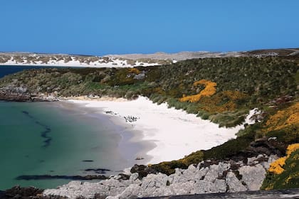El paisaje de las islas es muy parecido al patagónico.