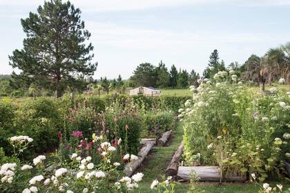 El paisaje es ecléctico, las palmeras yatay conviven con pinos y cipreses; más allá, un invernáculo para adelantar cultivos y llevarlos a la gran huerta y al jardín de flores. Según la época, conviven allí zinnias, escabiosas, biznagas, cosmos y flores silvestres.