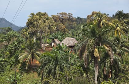 El paisaje tropical y virgen de Guantánamo