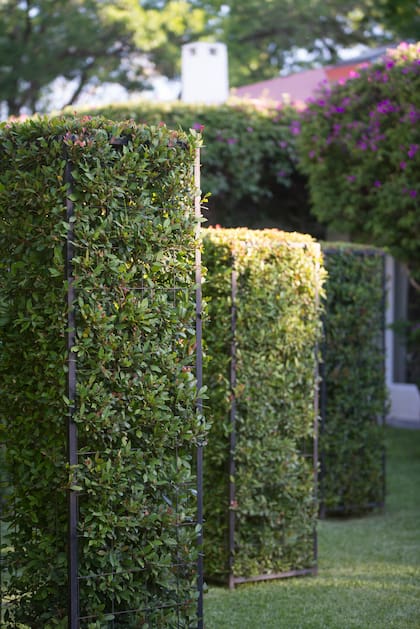 El paisajismo acústico es una rama del diseño que busca reducir el impacto sonoro mediante vegetación