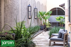 Cómo convertir pasillos angostos en jardines con identidad y estilo