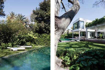 El paisajismo de Alejandra De Dominicis.