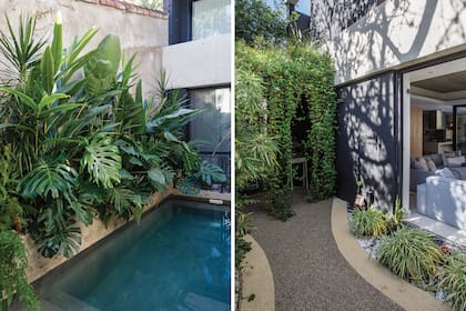 El paisajismo estuvo a cargo de César y de su mujer, Alejandra, quienes eligieron especies como la costilla de Adán, la caña de ámbar y la dracena marginata.