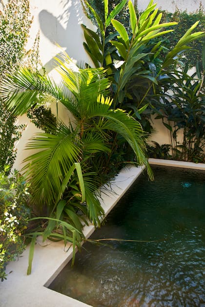 El paisajismo estuvo a cargo de Natalia Leissa para Estudio Nativas (@nativas_dec) .