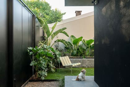 El paisajismo –frondoso y con plantas de hojas grandes– estuvo a cargo de Huella Paisajismo y tuvo como inspiración la vegetación de Bali, un destino que a los dueños los apasiona.