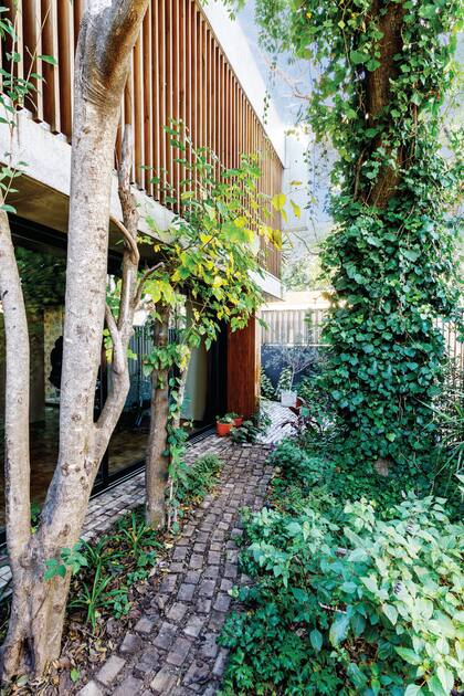 El paisajista Mariano Cipriota fue el responsable de este jardín que es protagonista incluso en los interiores.