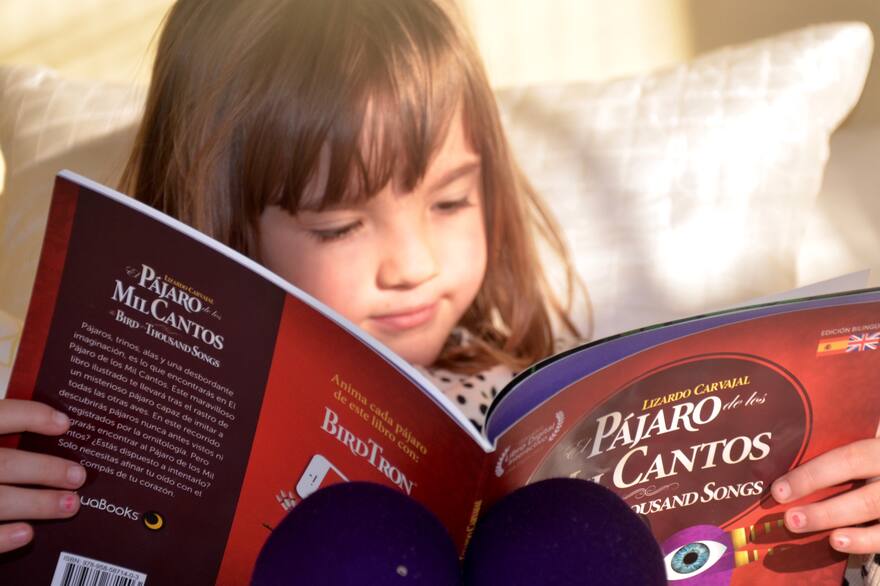 Qué vas a leer con tu hijo esta noche? 15 libros ideales para el Día del  Niño - LA NACION