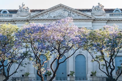 El Palacio Errázuriz (Museo de Arte Decorativo) y la magia del jacarandá.