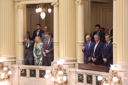 El palco que ocupó Karina Milei en la jura de los senadores