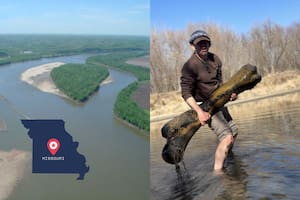 Un paleontólogo descubre un enorme hueso prehistórico de un río en Missouri