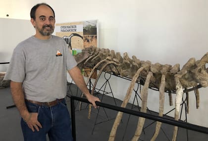 El paleontólogo Leonardo Filippi en el museo de Rincón de los Sauces