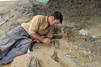 El paleontólogo Robert DePalma excavando un conjunto de fósiles de plantas y animales en el yacimiento de Tanis, en Dakota del Norte